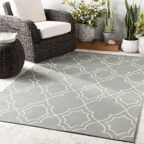 Liam Outdoor Area Rug Carpet for Living Room Bedroom or Kitchen